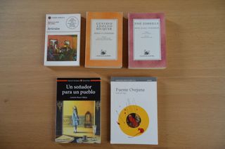 Lote de 5 libros de literatura castellana
