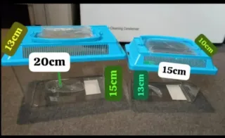 Terrario para insectos palo