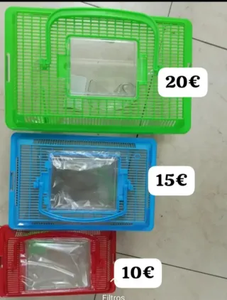 Terrario para insectos palo