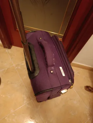 Maleta de viaje morada