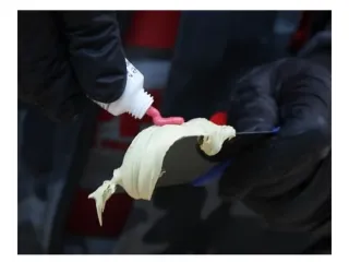 Masilla poliéster universal bicomponente PE Poly P