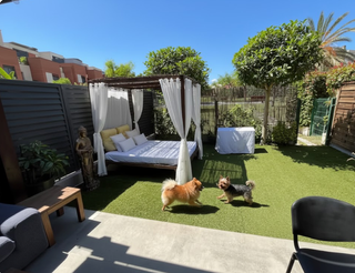 Tu perro no quiere jaulas, quiere casa con jardín!