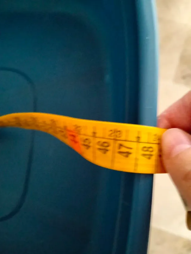 Arenero para gatos con pala