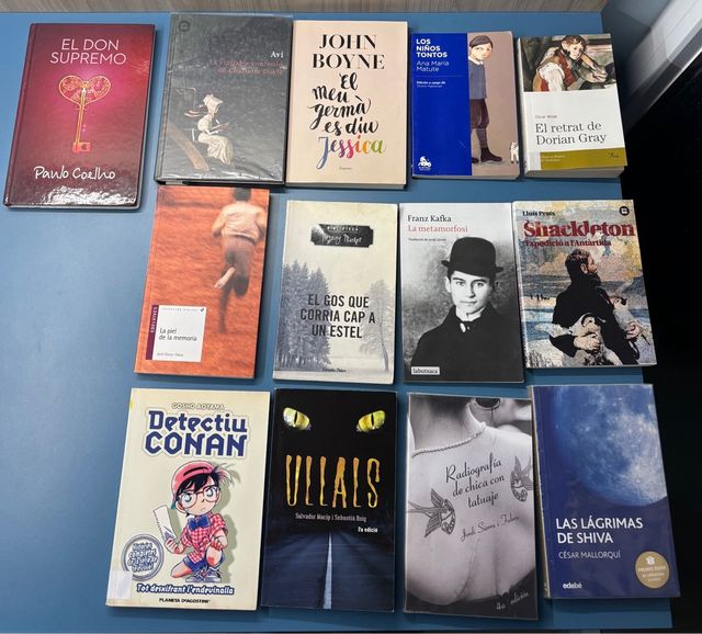 Lote de 13 libros en catalan y castellano