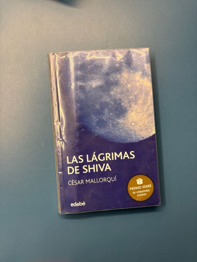 Lote de 13 libros en catalan y castellano