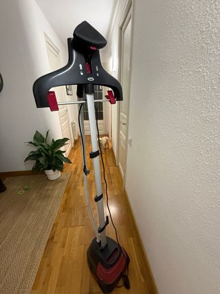 Plancha de Vapor Vertical Rowenta