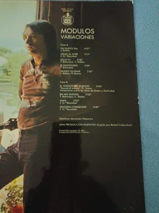 Vinilo Modulos Variaciones 71