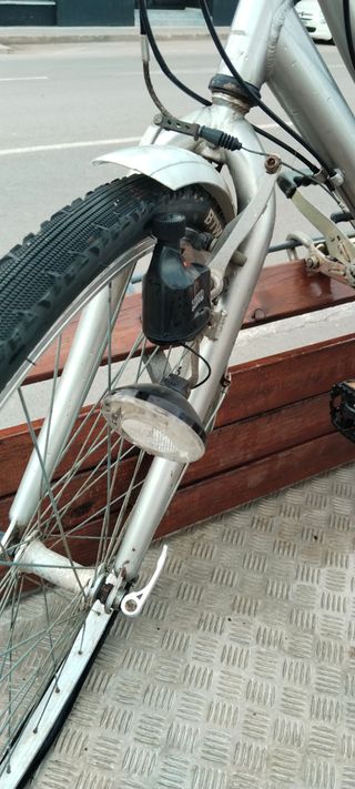 Bicicleta de paseo plateada