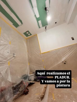 REFORMAS PARCIALES , PLADUR Y PINTURA