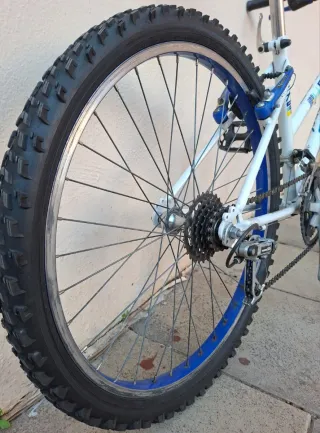 BICI JUNIOR REBAJADA DE PRECIO