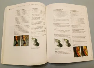 Manuale Adobe Photoshop 3.0 Macintosh Spagnolo