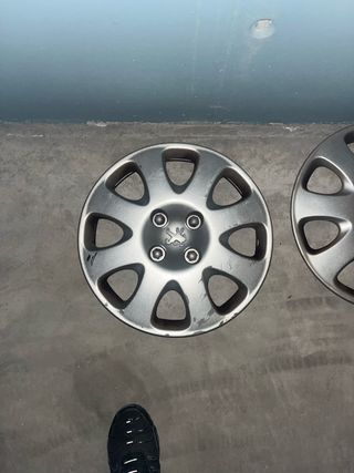 Tapacubos Peugeot 307