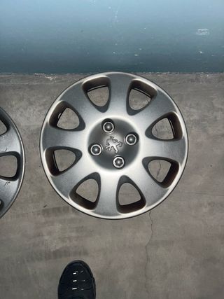 Tapacubos Peugeot 307