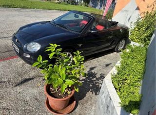 MG MGF 2001
