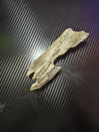 Decoración para acuarios.