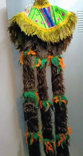 Disfraz de Carnaval con Plumas y Lentejuelas,