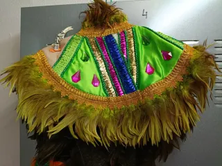 Disfraz de Carnaval con Plumas y Lentejuelas,