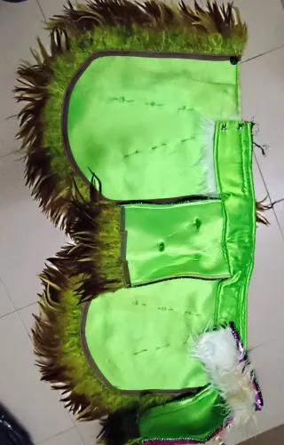 Disfraz de Carnaval con Plumas y Lentejuelas,