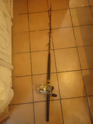 Carrete Shimano Tiagra 50W y caña