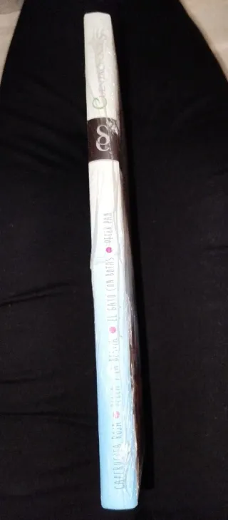 Cuenta Cuentos Bilingüe