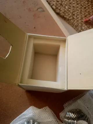 Set  3 conchiglie e 2 foglie in resina decorative