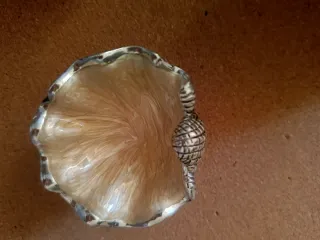 Set  3 conchiglie e 2 foglie in resina decorative