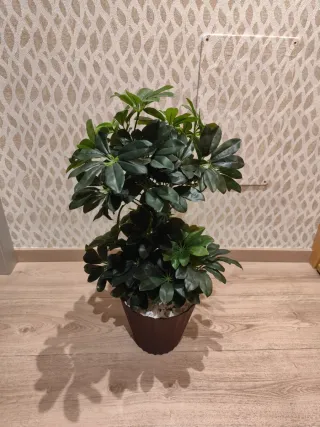 Planta artificial decorativa
