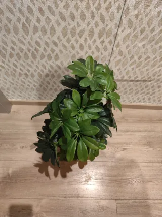 Planta artificial decorativa