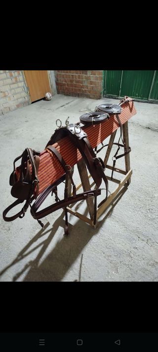 Guarnición completa para pony