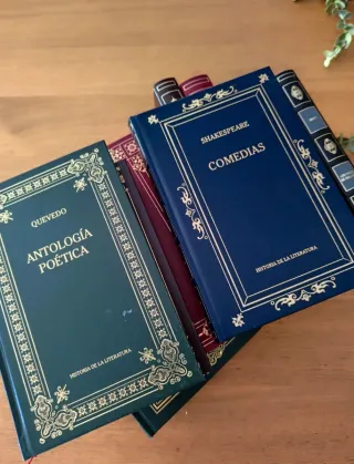 Grandes Clásicos de la Literatura