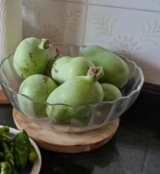 10 Semillas de asimina triloba (pawpaw)