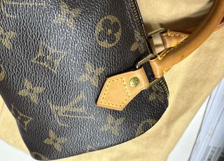 Borsa Nano Louis Vuitton Speedy
