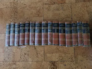 Novelas ganadoras del prestigioso Premio Nadal