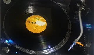 Vinilo T.H. Virgin New Lover