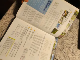 Libros Alemán A2 Menschen Kursbuch y Arbeitsbuch.