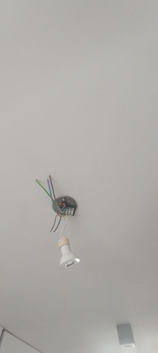 Servicios de manitas