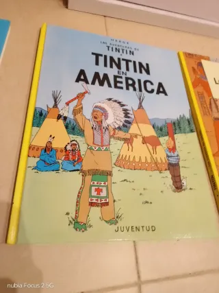 Lote libros de Tintin