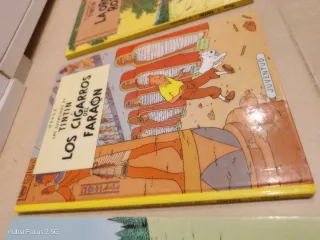 Lote libros de Tintin