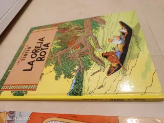 Lote libros de Tintin