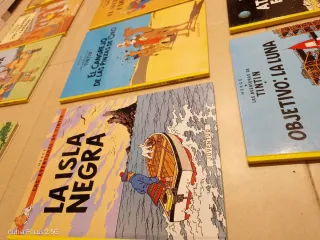 Lote libros de Tintin