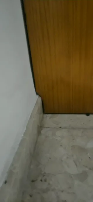 Conjunto de dormitorio en madera de pino