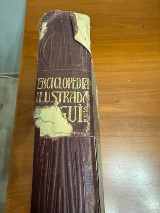 Enciclopedia ilustrada Segui