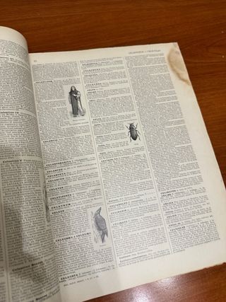 Enciclopedia ilustrada Segui