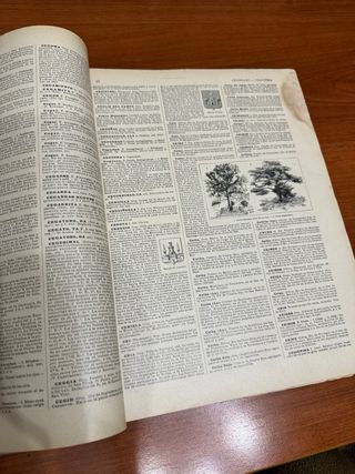 Enciclopedia ilustrada Segui