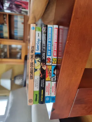 Lote Mangas Variados