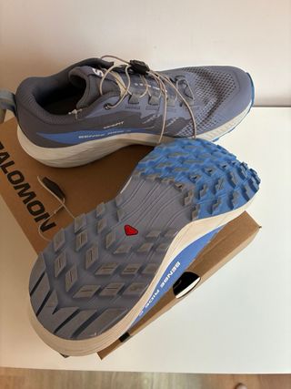 Salomon Sense Ride 5 Azul/Gris