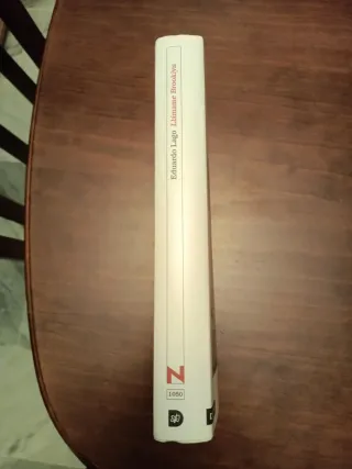 Llamame Brooklyn (Spanish Edition) Eduardo Lago