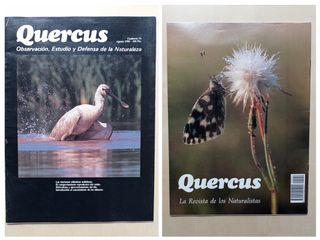 Revistas Quercus 1990, 1991, 1993