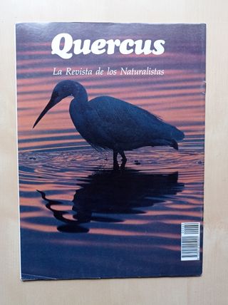 Revistas Quercus 1990, 1991, 1993