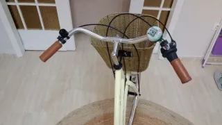 Bicicleta paseo mujer con cesta